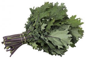 Red-Russian-Kale