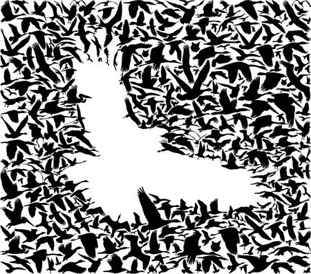 13078521 - many birds flying in the sky creates a silhouette of bird predators